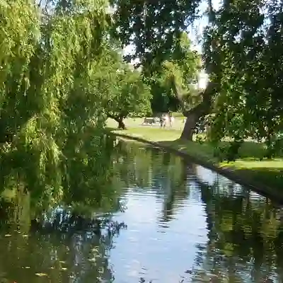 The Regent's Park Parkland, trees and lake.
