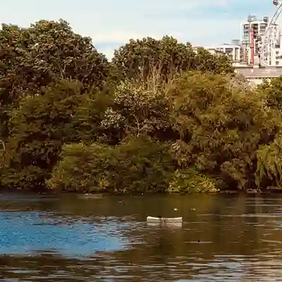 St James's Park The lake with trees and The London Eye in the distance.