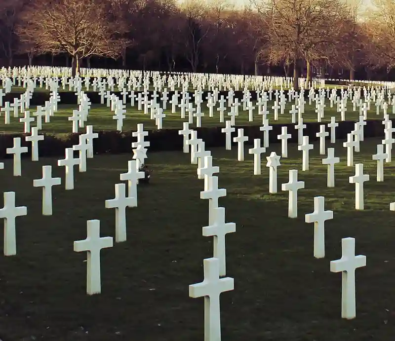 Rows of white crosses.