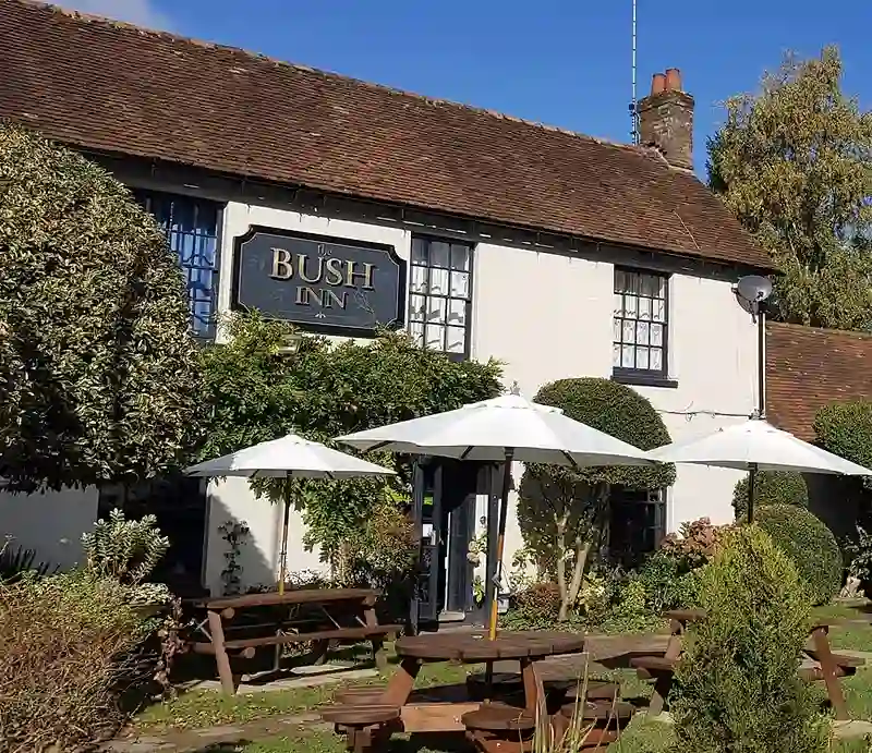 The Bush Inn White-painted exterior with garden benches and sun shades.