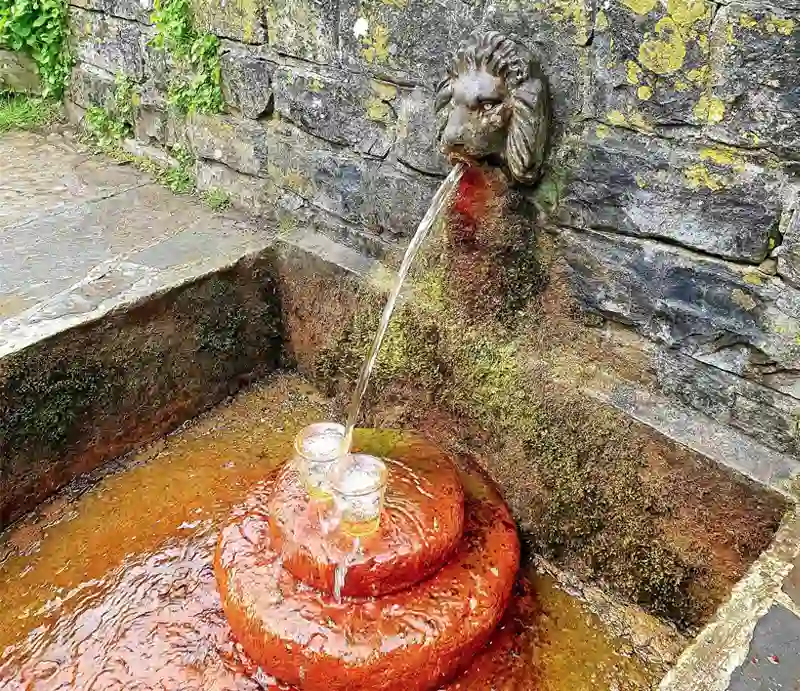 Chalice Well Water trickling from a carved lion's mouth.