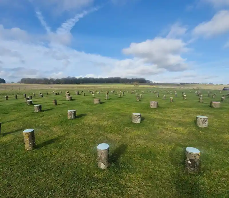 Woodhenge Marker posts in the ground.