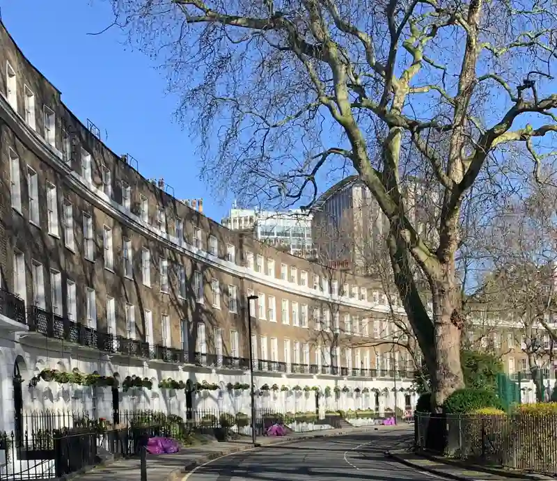 Bloomsbury Town houses and mature trees.
