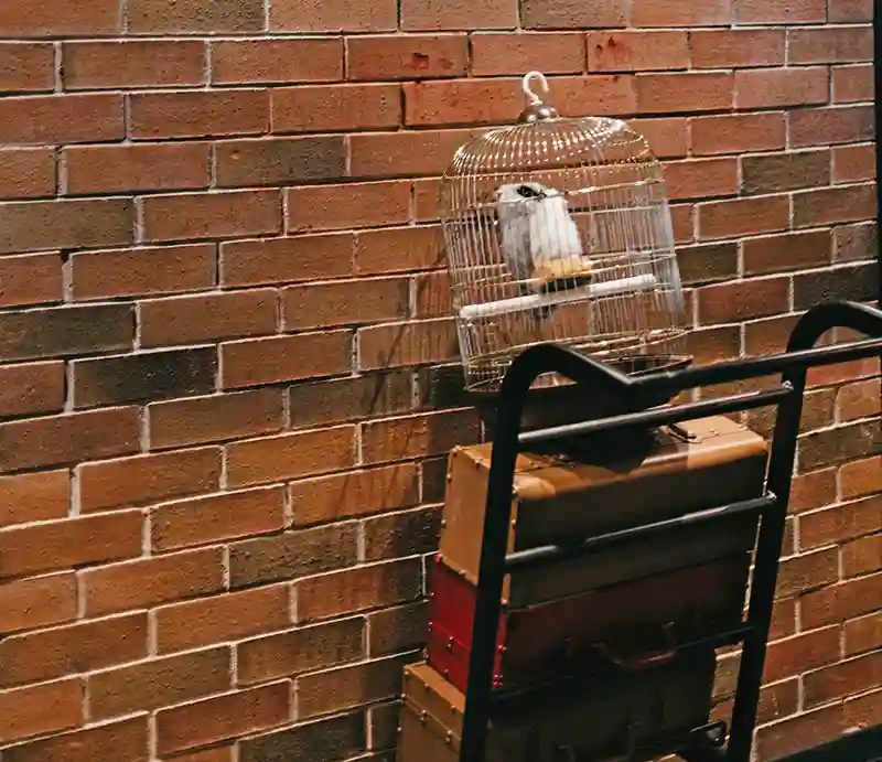Harry Potter Disappearing through a brick wall at King's Cross.