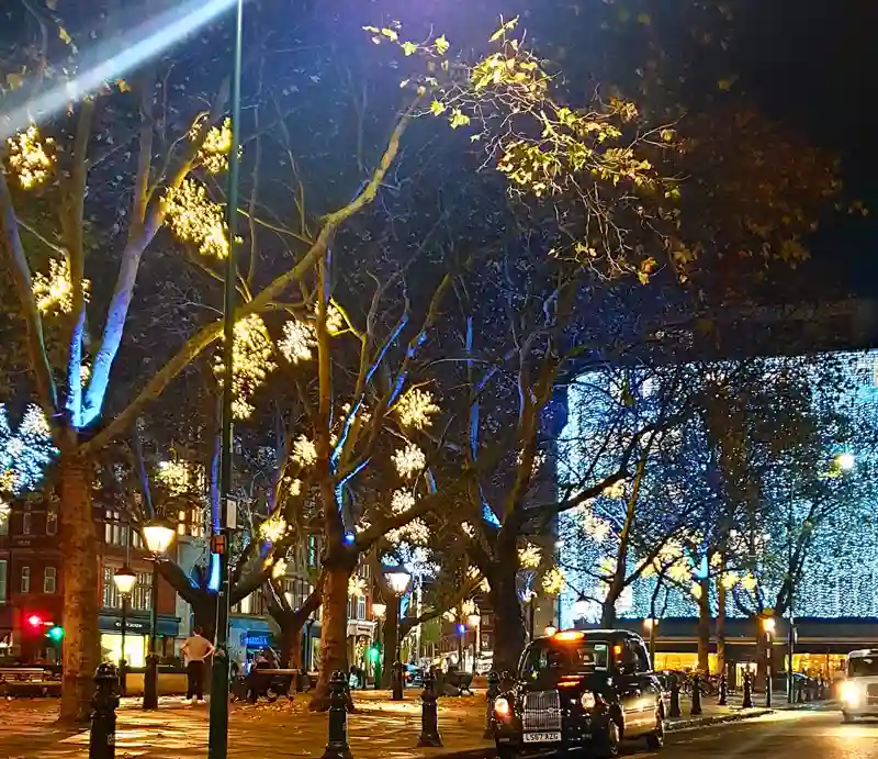 Sloane Square Christmas lights illuminating the trees.