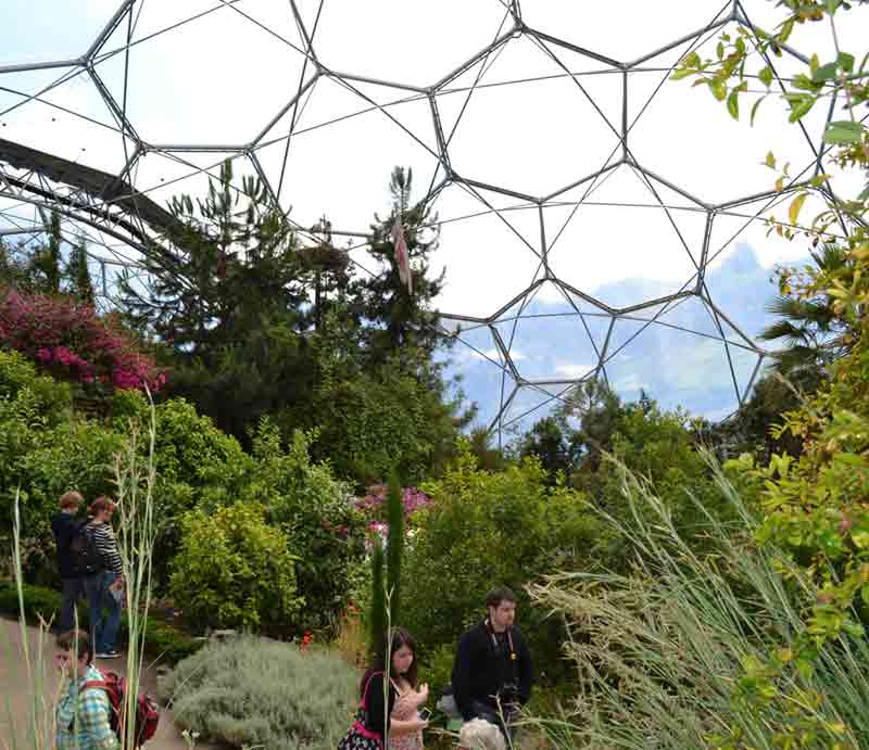 The Eden Project Plants and trees inside one of the giant domes.
