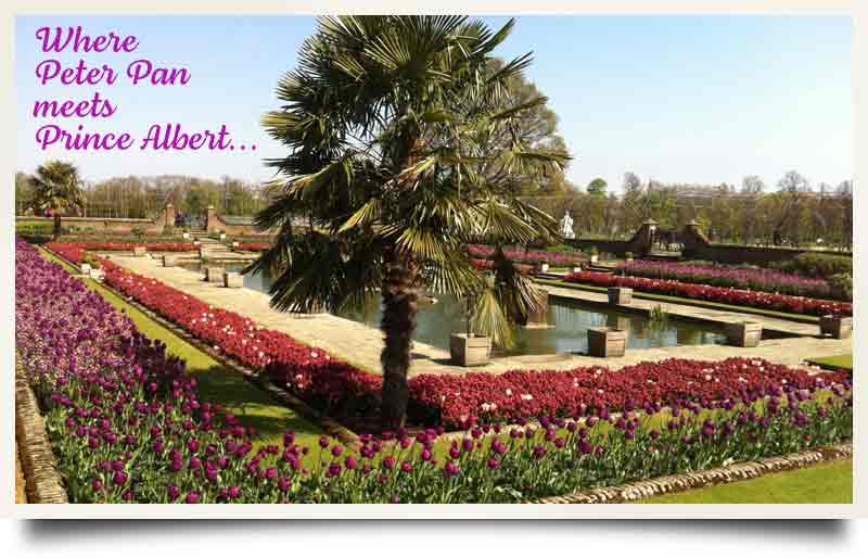 Flower beds and tropical tree with caption 'Where Peter Pan meets Prince Albert'.