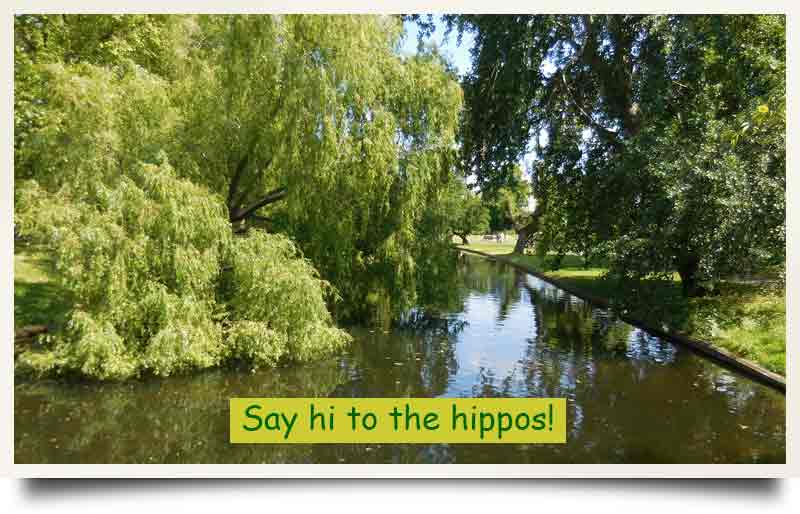 Parkland, trees and lake with caption 'Say hi to the hippos!'.