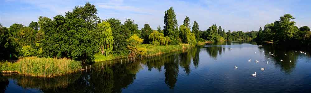 The Serpentine The lake on a bright sunny day with trees and grassland tothe distance.